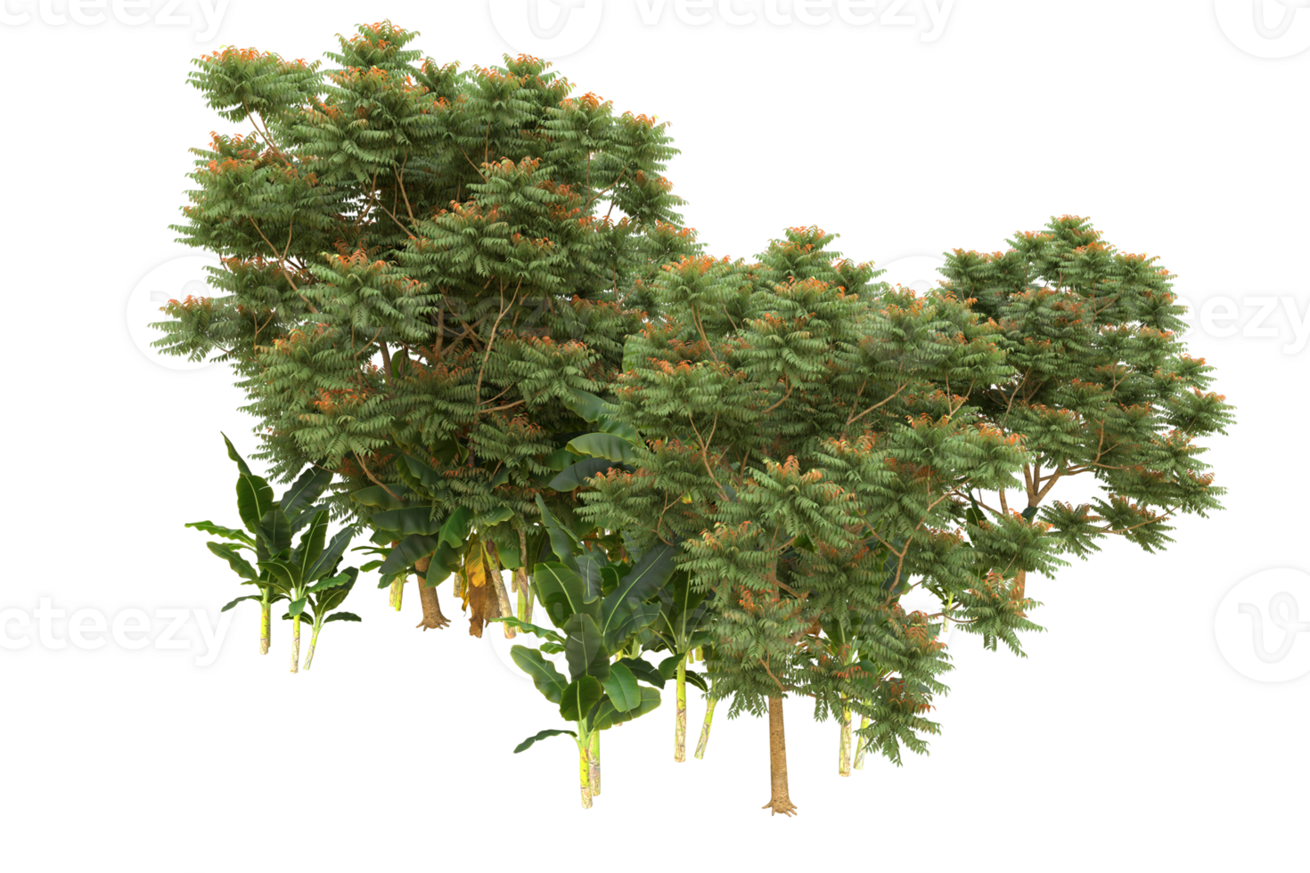 Realistic forest isolated on transparent background. 3d rendering - illustration png