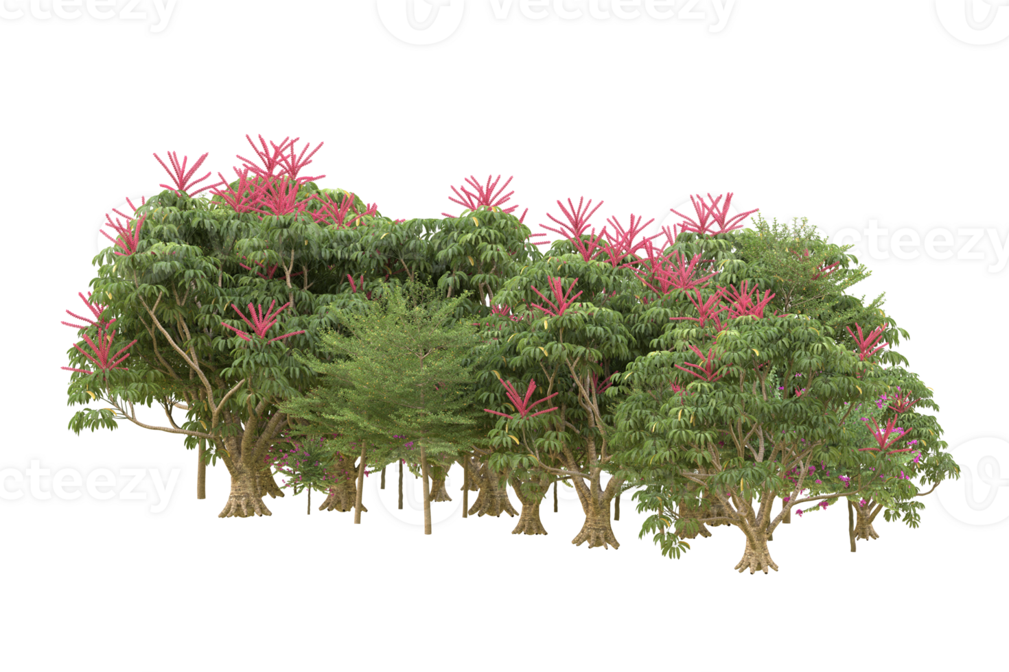 Realistic forest isolated on transparent background. 3d rendering - illustration png