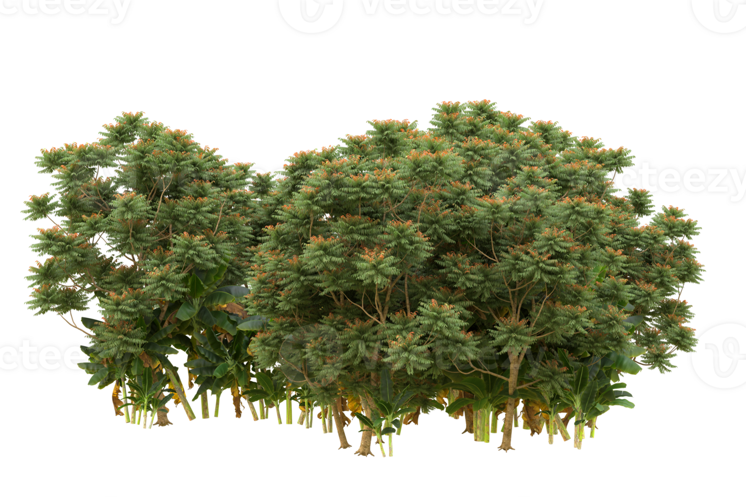Realistic forest isolated on transparent background. 3d rendering - illustration png