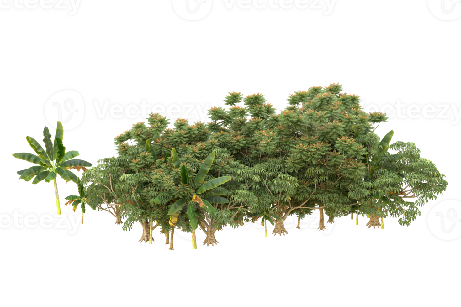 Realistic forest isolated on transparent background. 3d rendering - illustration png