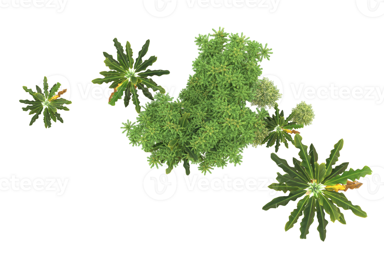 Realistic forest isolated on transparent background. 3d rendering - illustration png