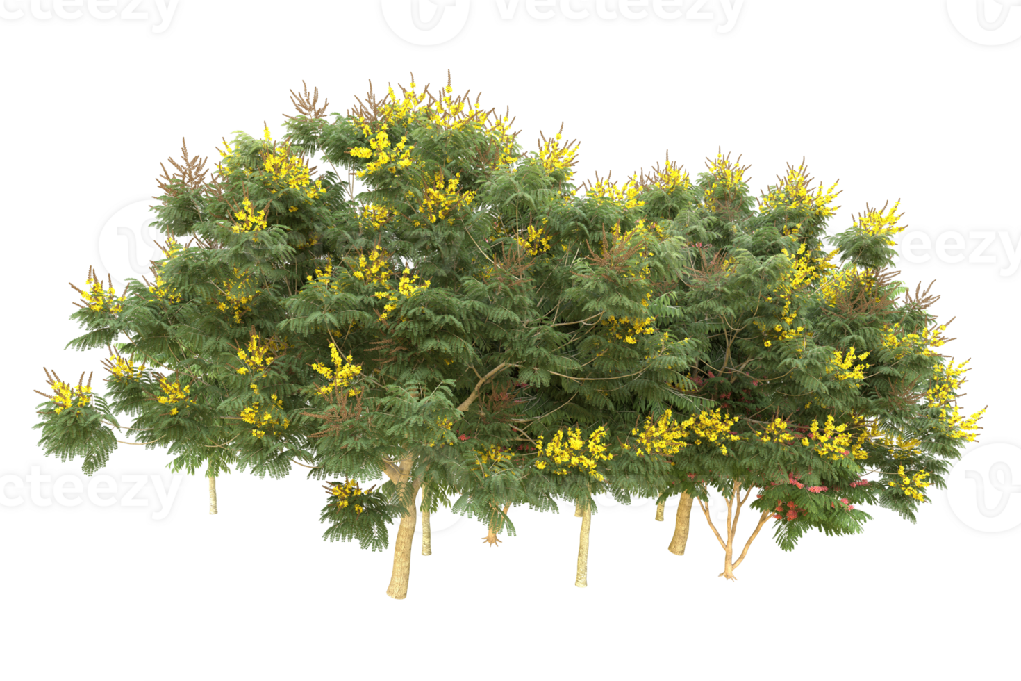 Realistic forest isolated on transparent background. 3d rendering - illustration png
