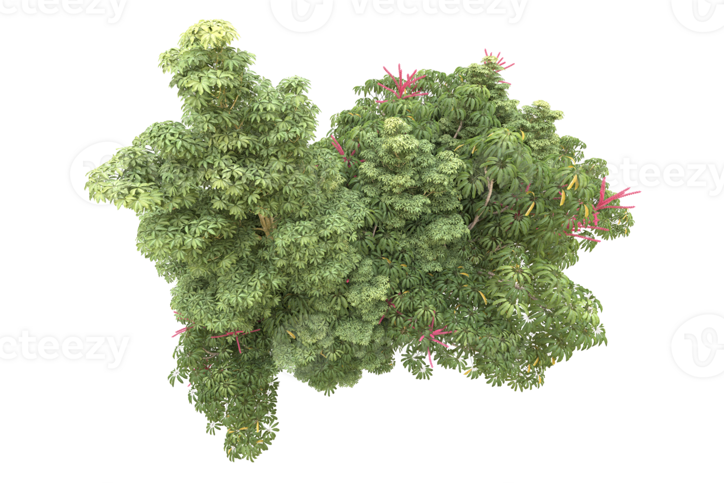 Realistic forest isolated on transparent background. 3d rendering - illustration png