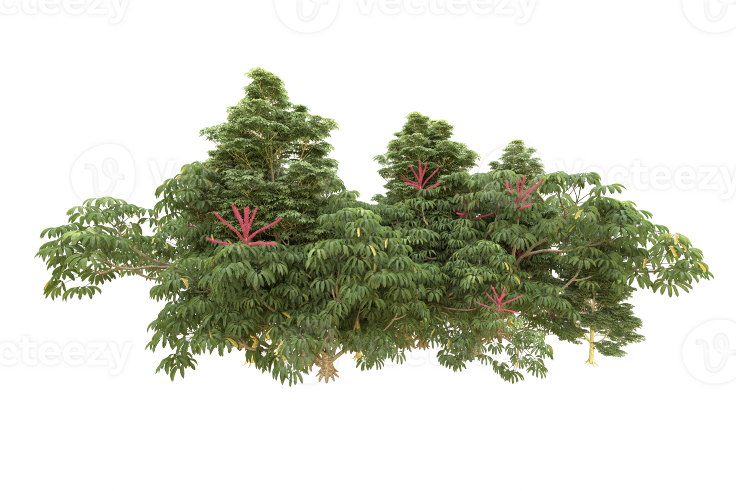 Realistic forest isolated on transparent background. 3d rendering - illustration png