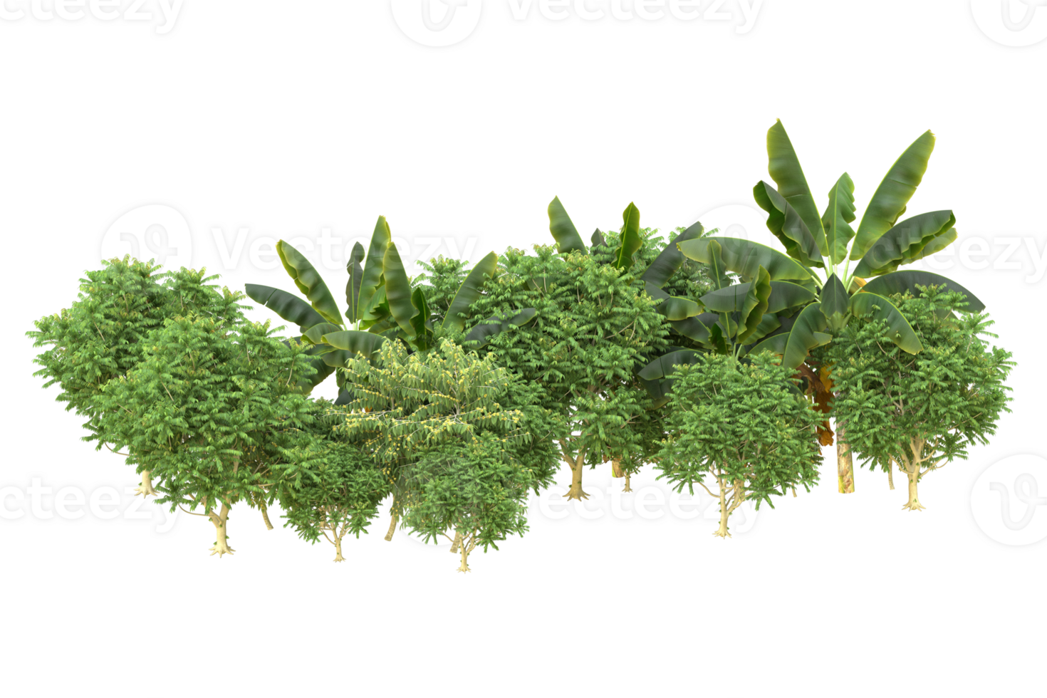 Realistic forest isolated on transparent background. 3d rendering - illustration png