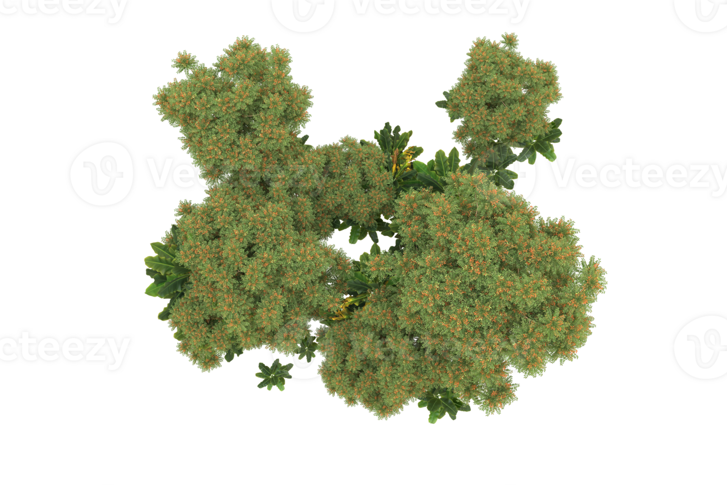 Realistic forest isolated on transparent background. 3d rendering - illustration png