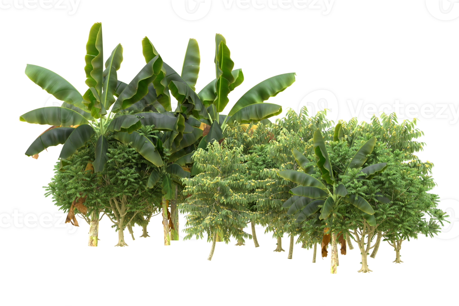 Realistic forest isolated on transparent background. 3d rendering - illustration png