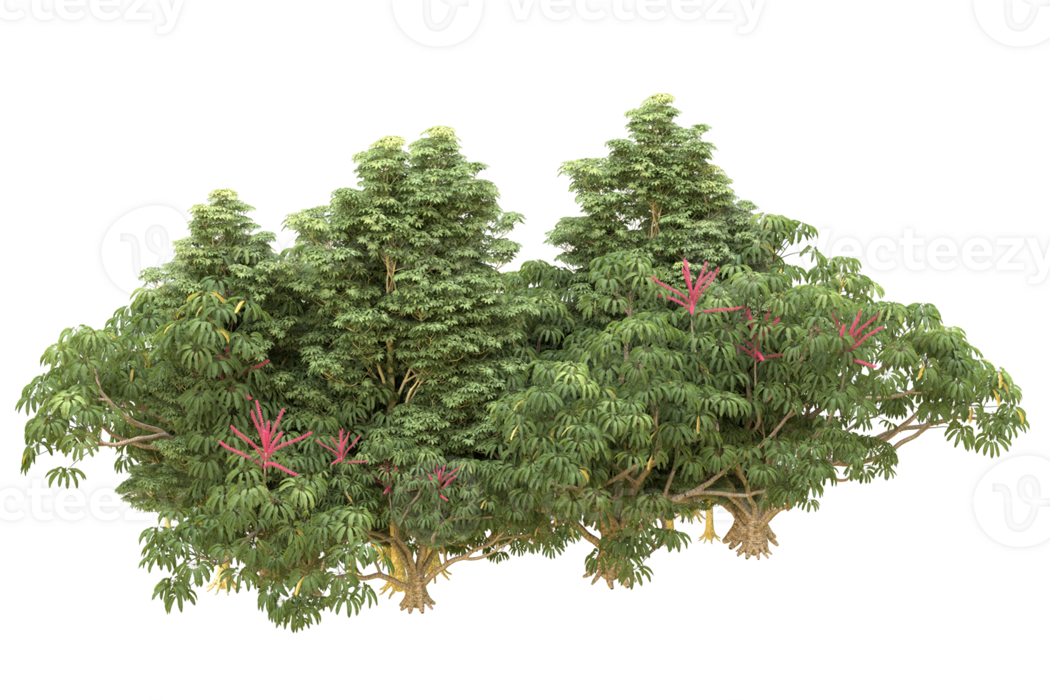 Realistic forest isolated on transparent background. 3d rendering - illustration png