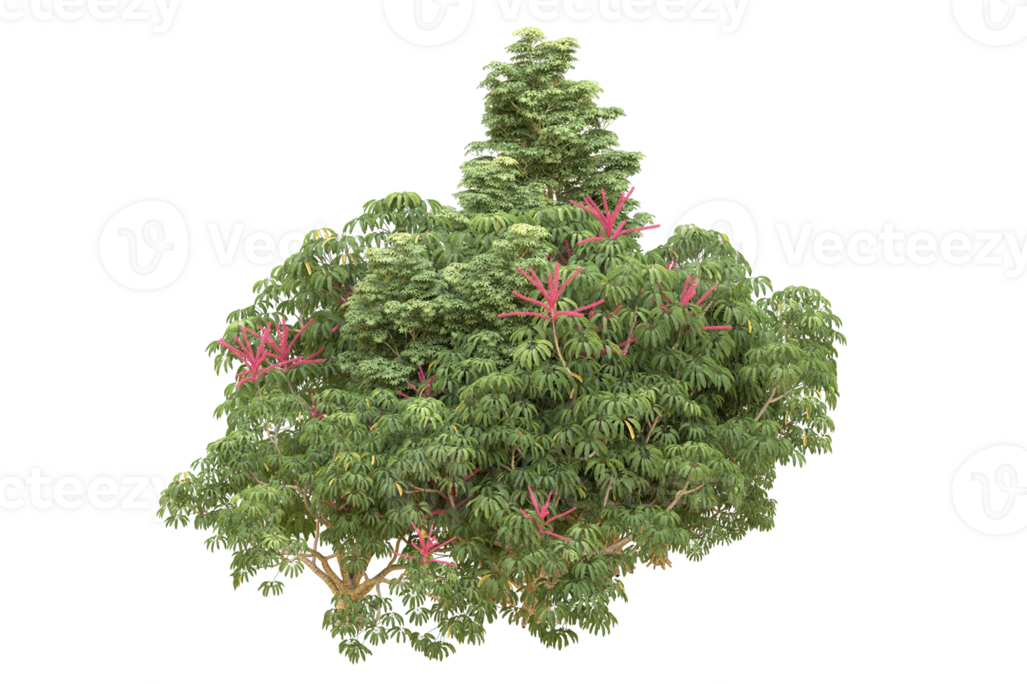 Realistic forest isolated on transparent background. 3d rendering - illustration png