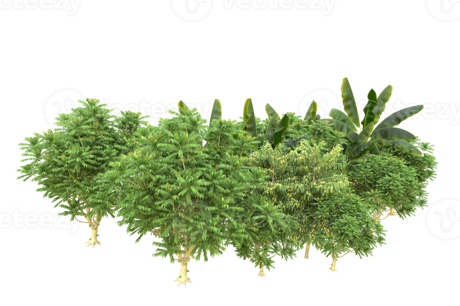 Realistic forest isolated on transparent background. 3d rendering - illustration png