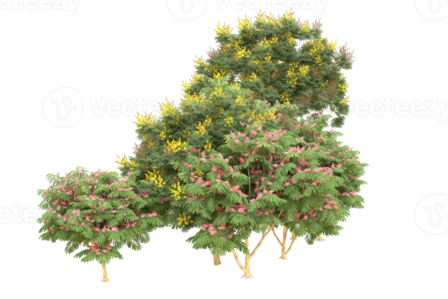 Realistic forest isolated on transparent background. 3d rendering - illustration png