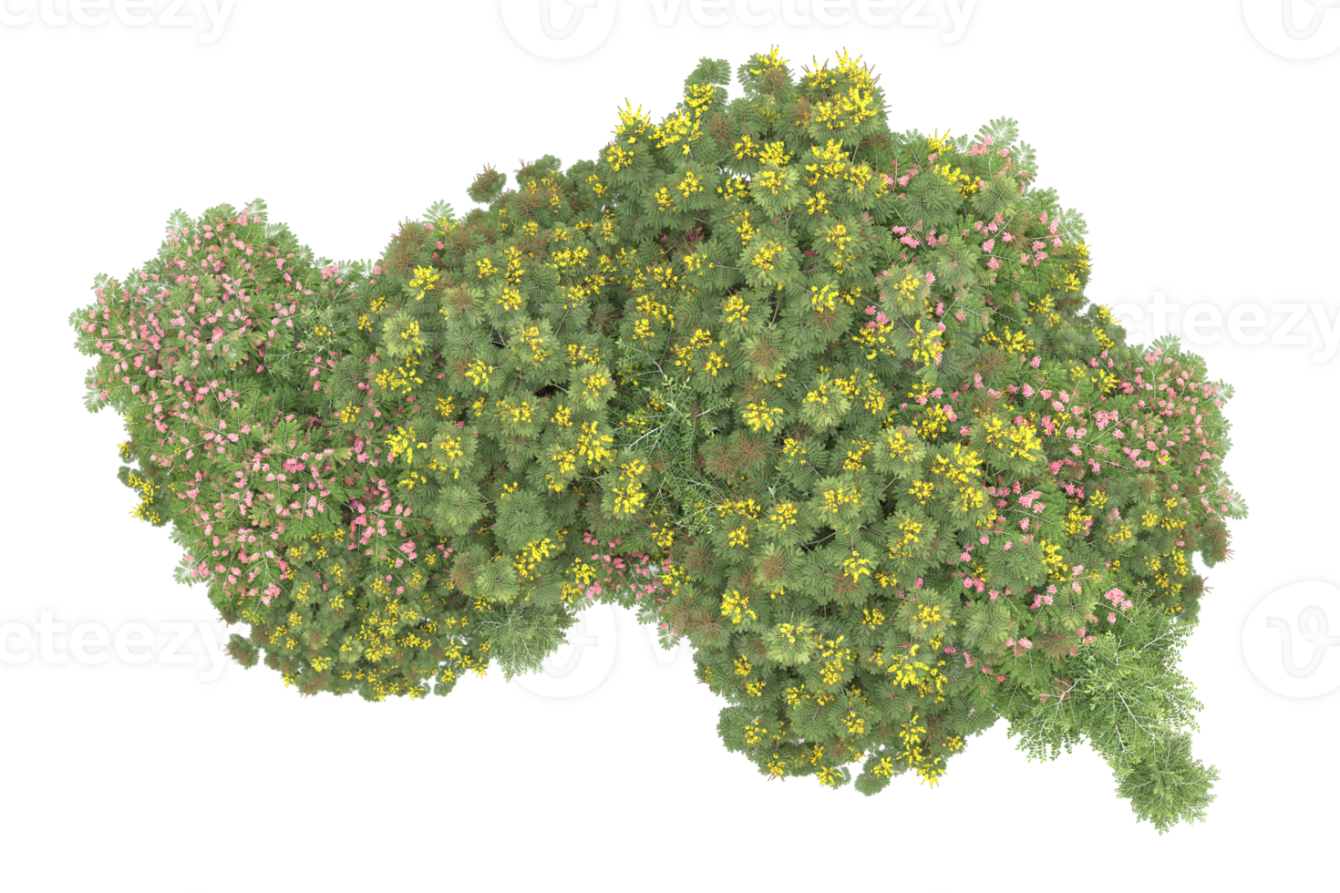 Realistic forest isolated on transparent background. 3d rendering - illustration png