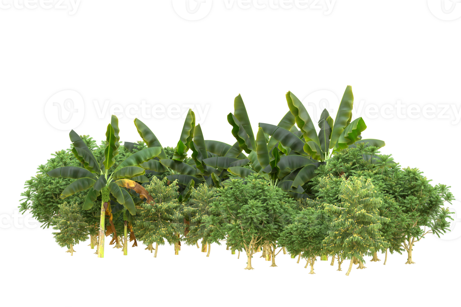 Realistic forest isolated on transparent background. 3d rendering - illustration png