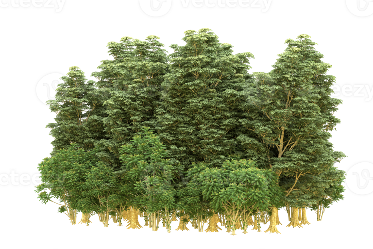 Realistic forest isolated on transparent background. 3d rendering - illustration png