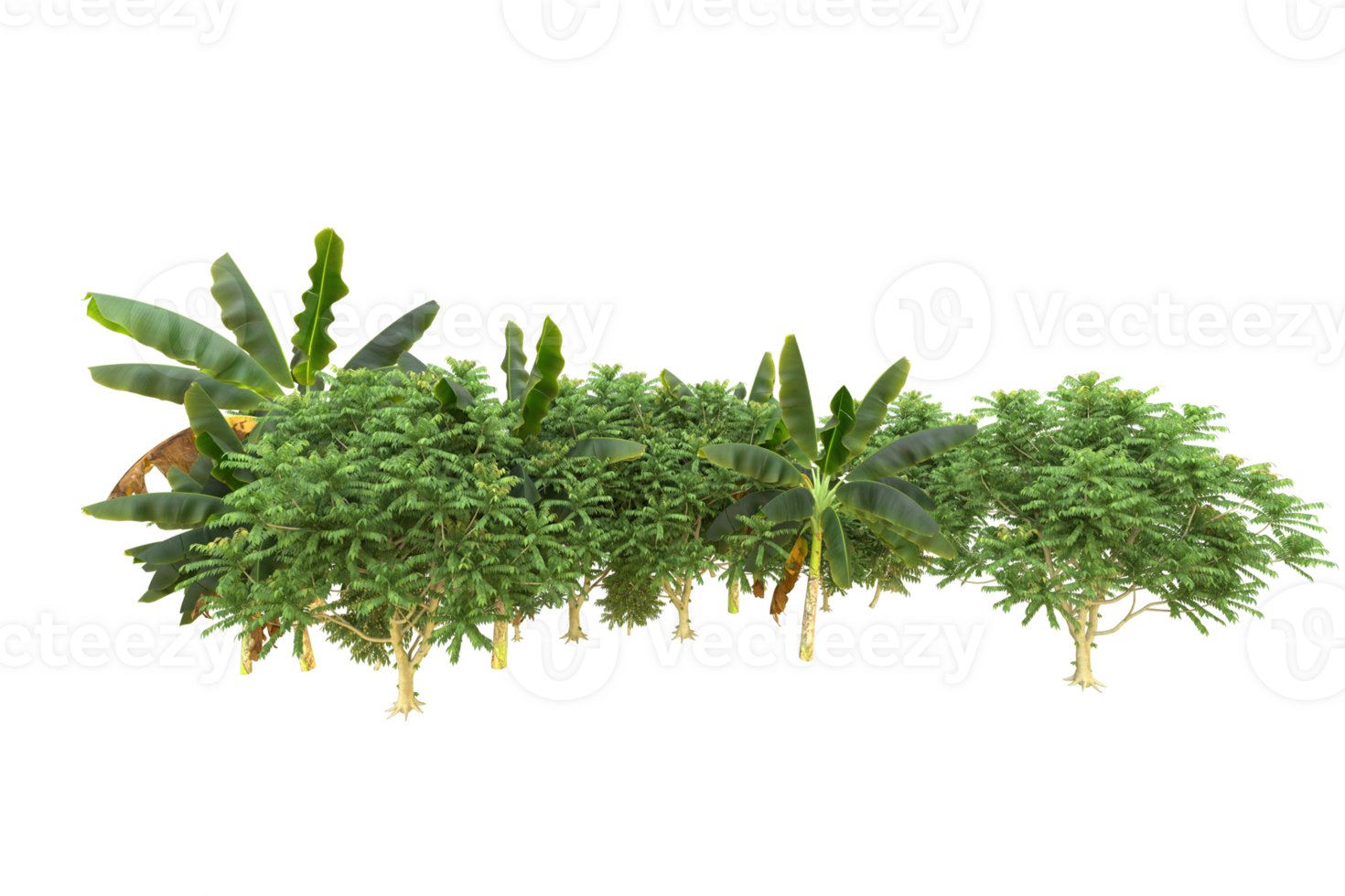 Realistic forest isolated on transparent background. 3d rendering - illustration png