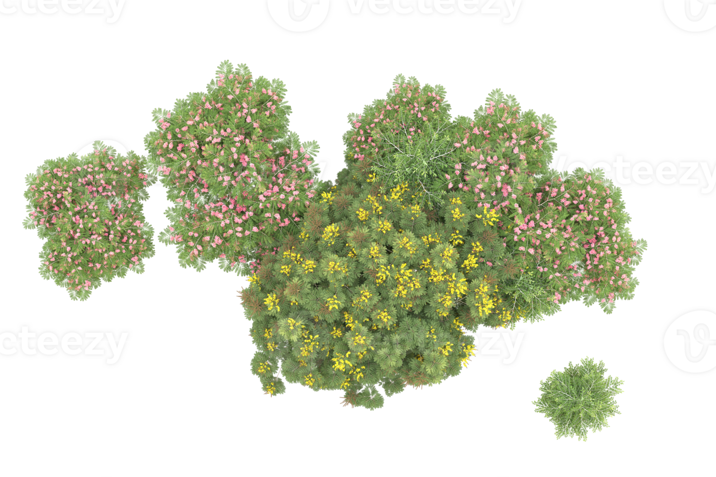 Realistic forest isolated on transparent background. 3d rendering - illustration png