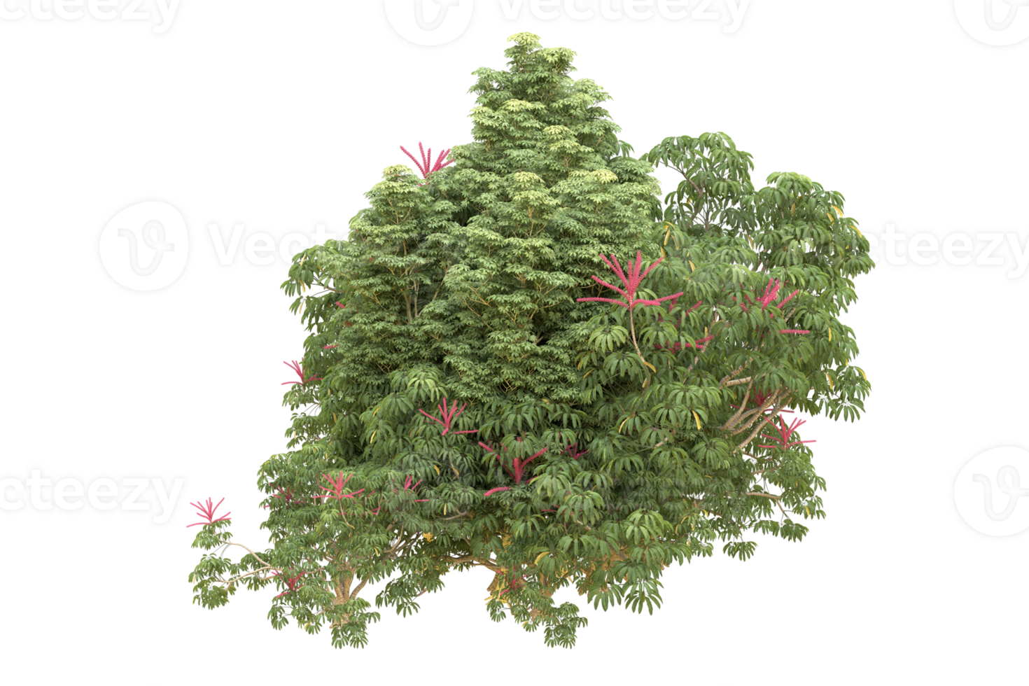 Realistic forest isolated on transparent background. 3d rendering - illustration png