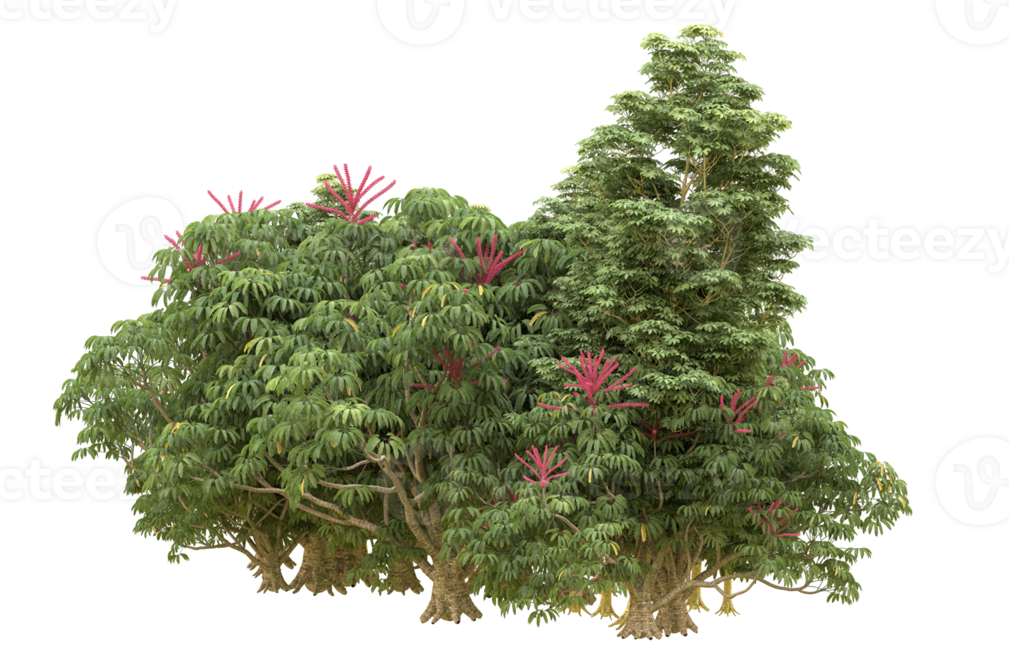 Realistic forest isolated on transparent background. 3d rendering - illustration png