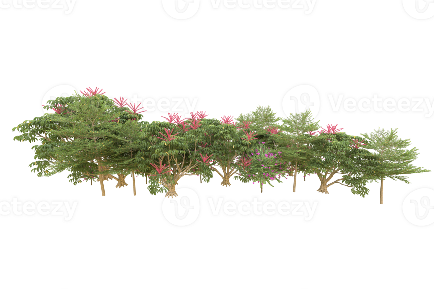 Realistic forest isolated on transparent background. 3d rendering - illustration png