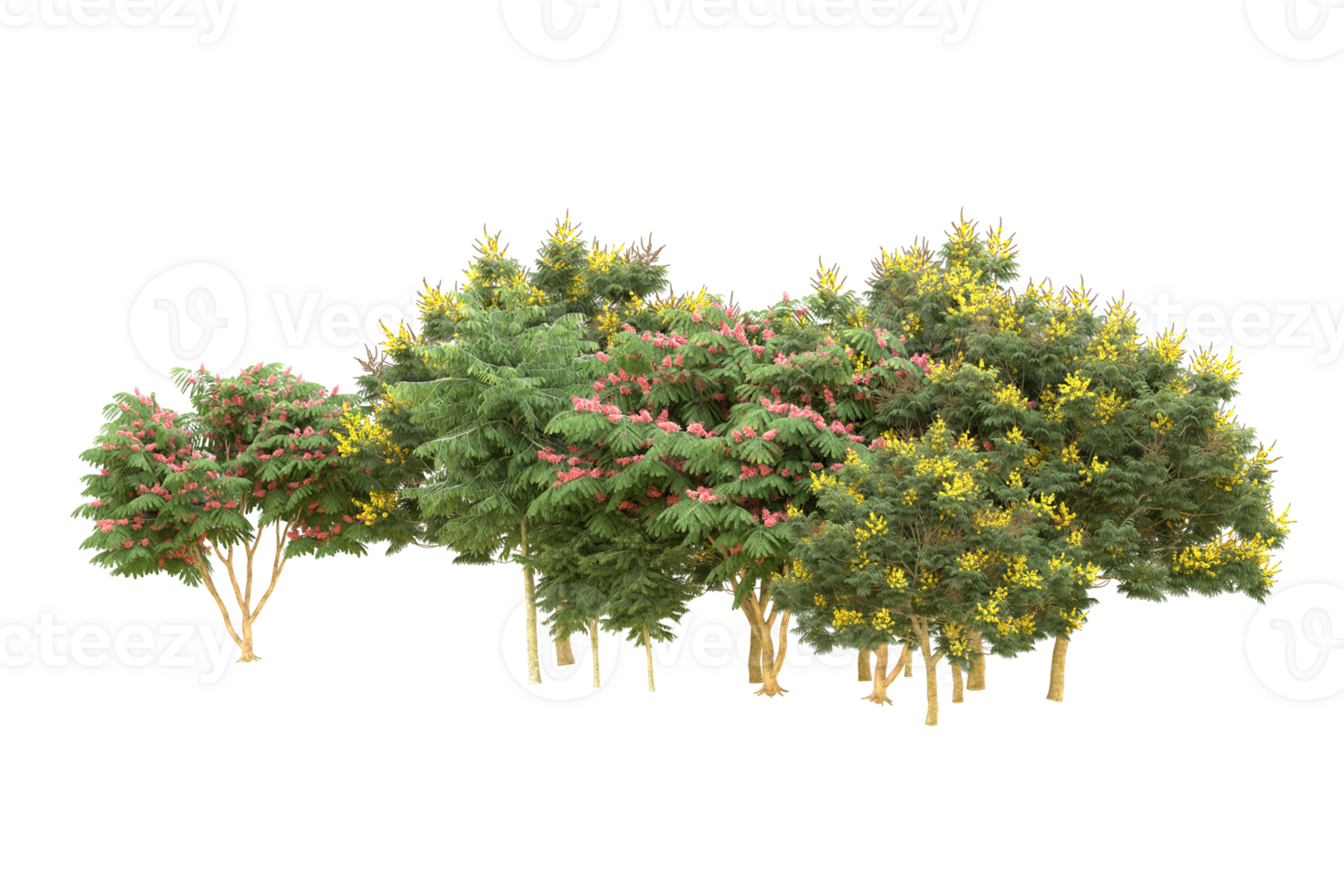 Realistic forest isolated on transparent background. 3d rendering - illustration png