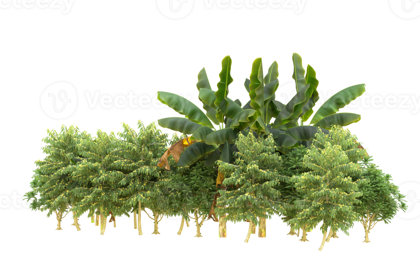 Realistic forest isolated on transparent background. 3d rendering - illustration png