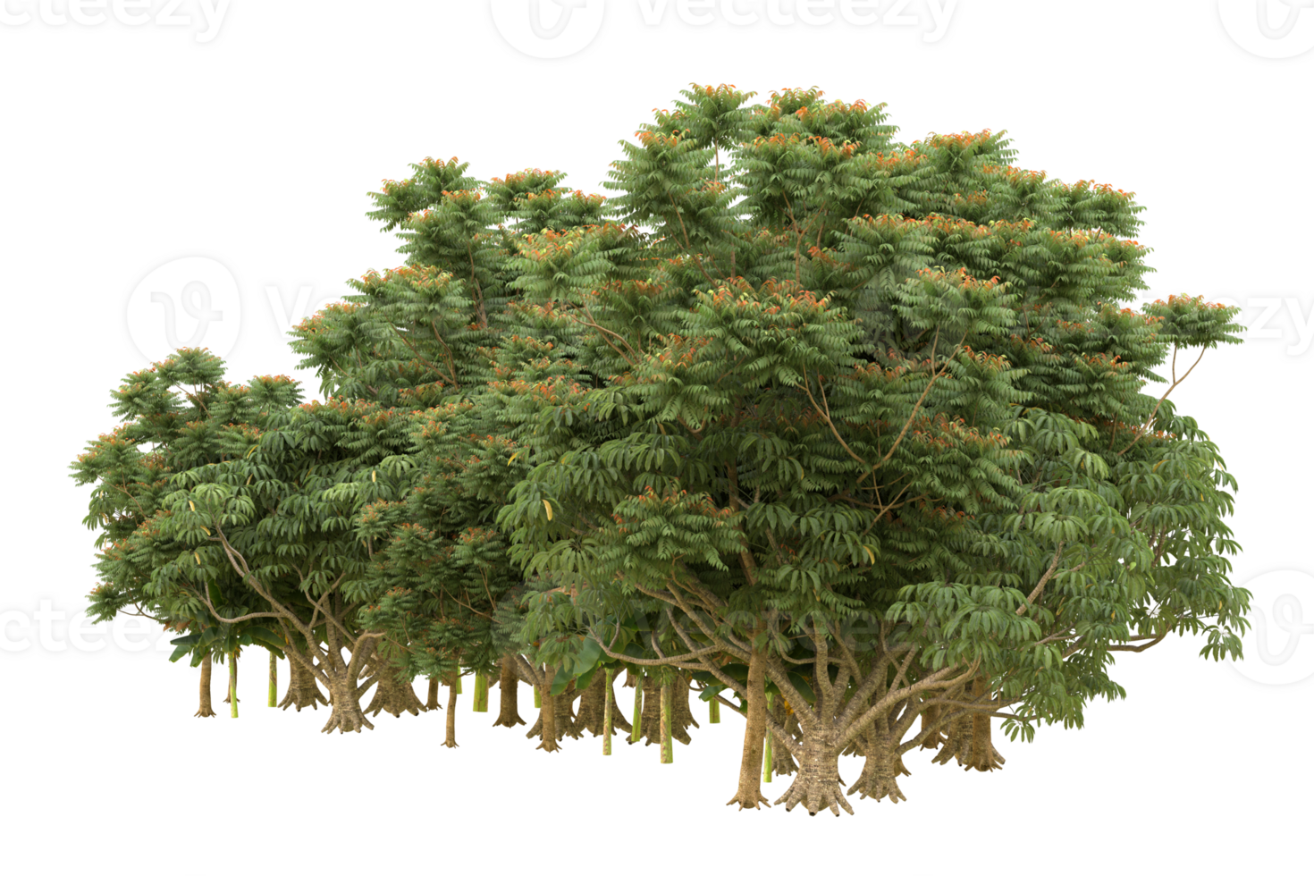 Realistic forest isolated on transparent background. 3d rendering - illustration png