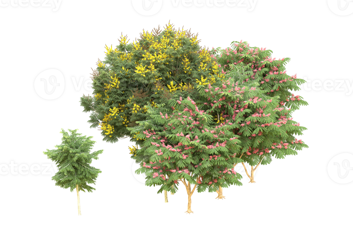Realistic forest isolated on transparent background. 3d rendering - illustration png