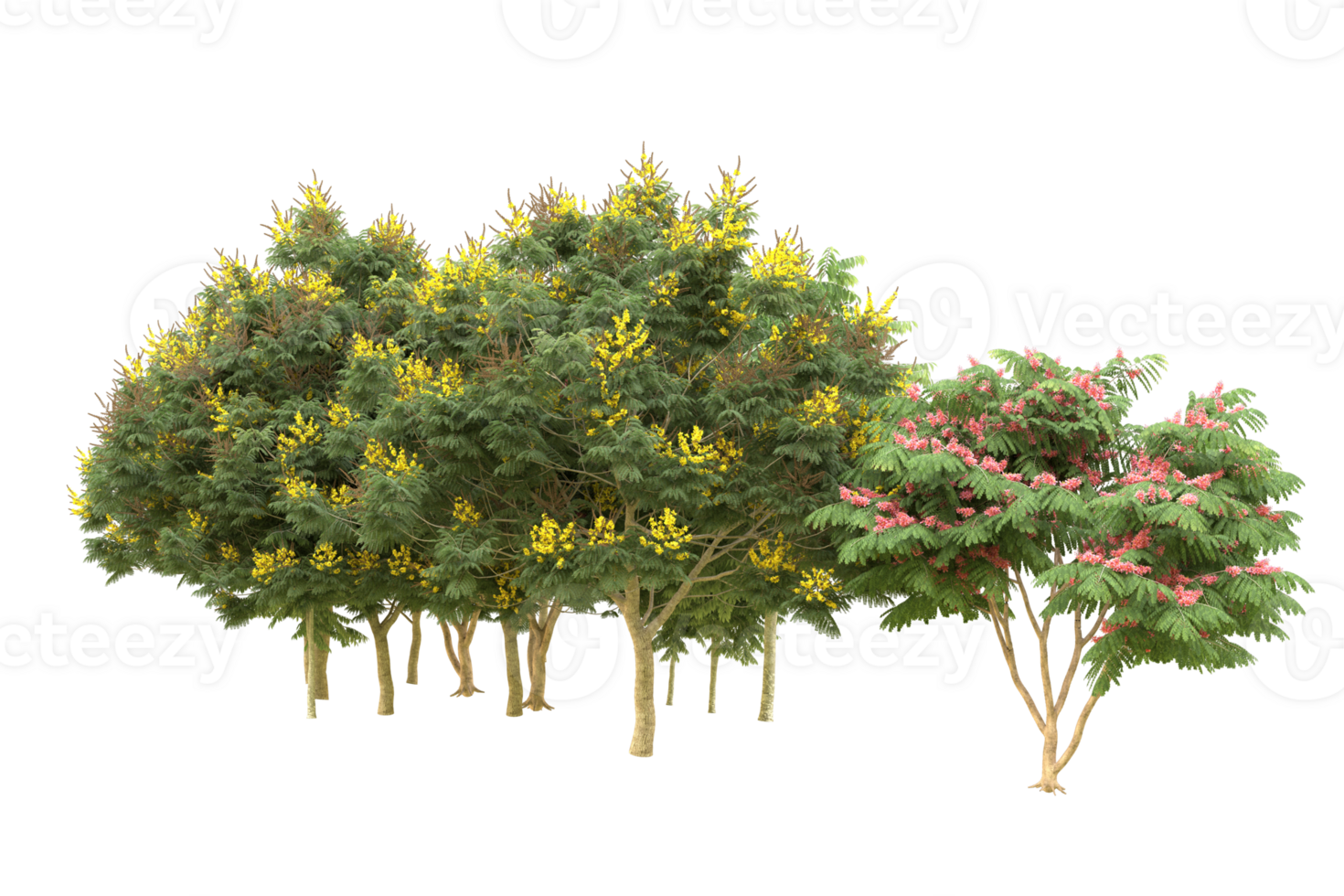 Realistic forest isolated on transparent background. 3d rendering - illustration png