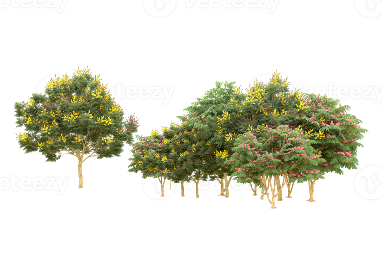 Realistic forest isolated on transparent background. 3d rendering - illustration png