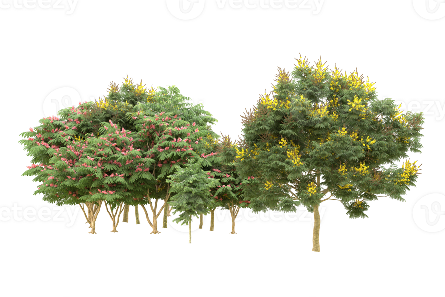 Realistic forest isolated on transparent background. 3d rendering - illustration png