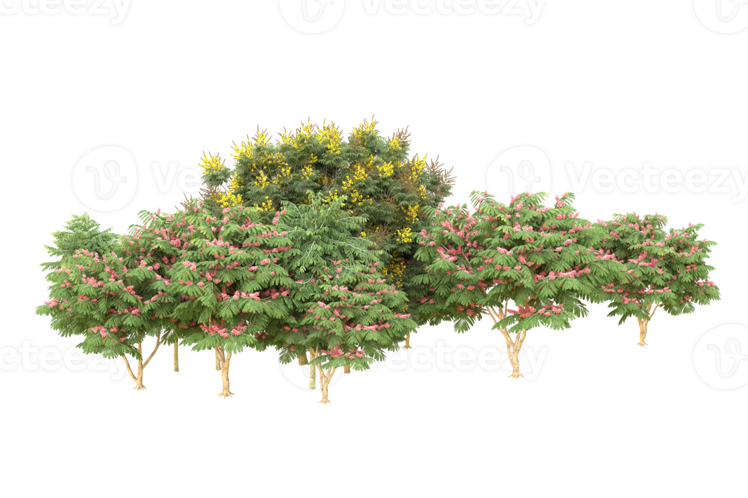Realistic forest isolated on transparent background. 3d rendering - illustration png