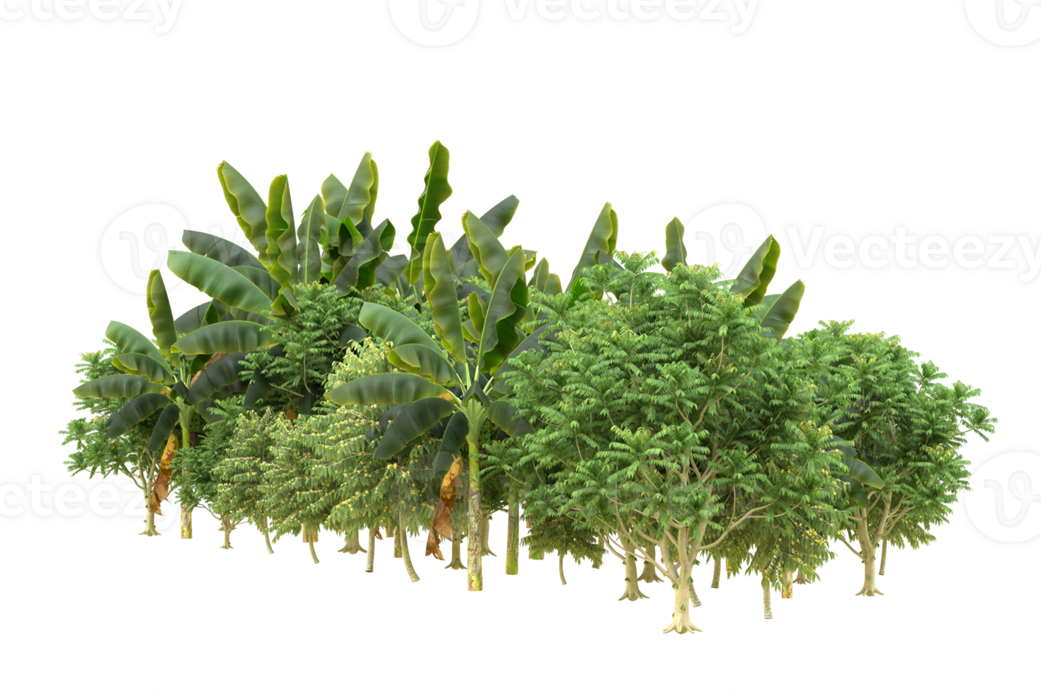Realistic forest isolated on transparent background. 3d rendering - illustration png