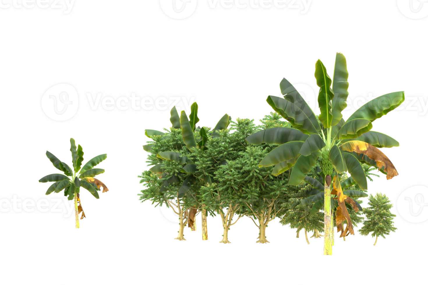 Realistic forest isolated on transparent background. 3d rendering - illustration png