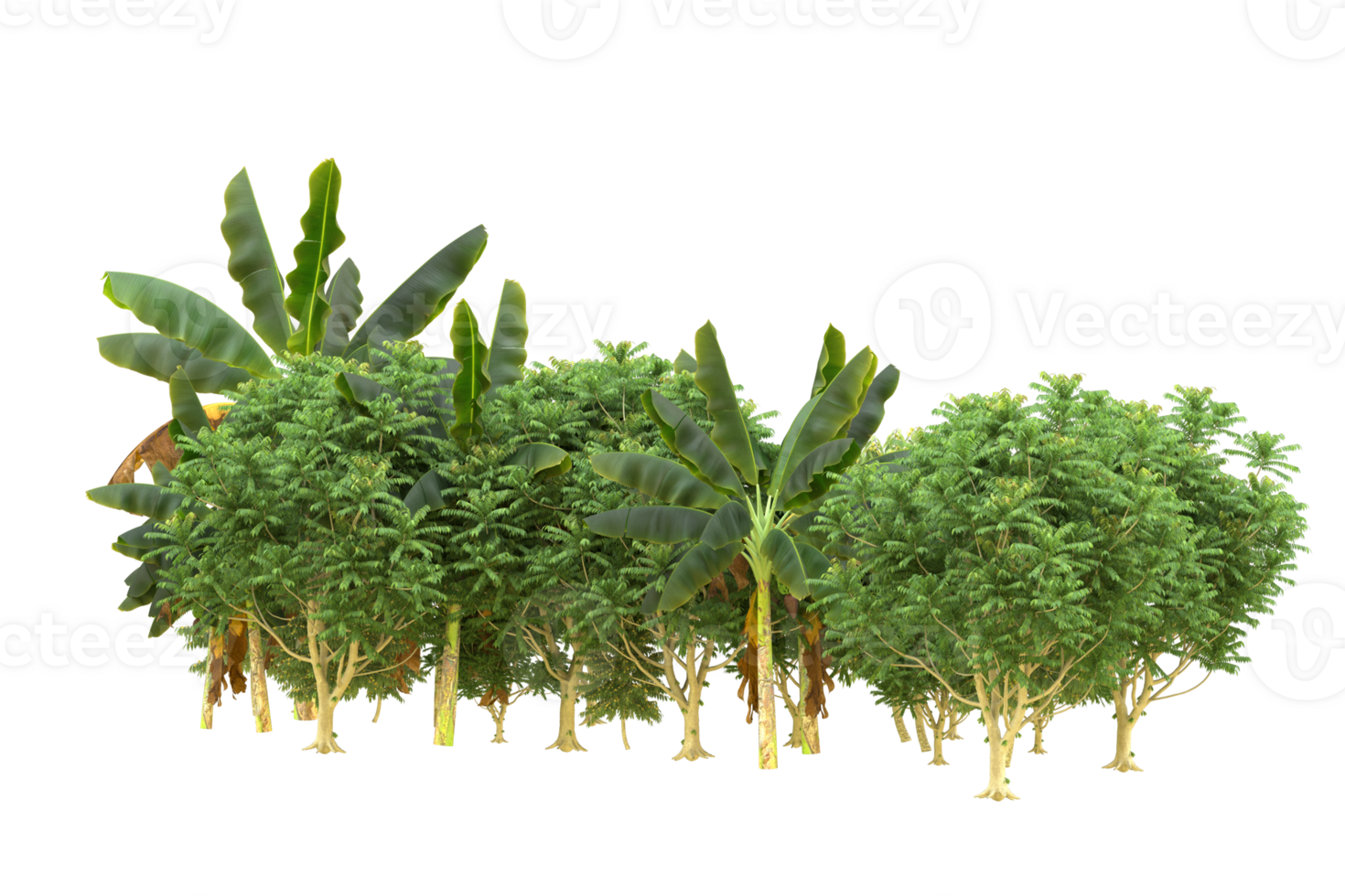 Realistic forest isolated on transparent background. 3d rendering - illustration png