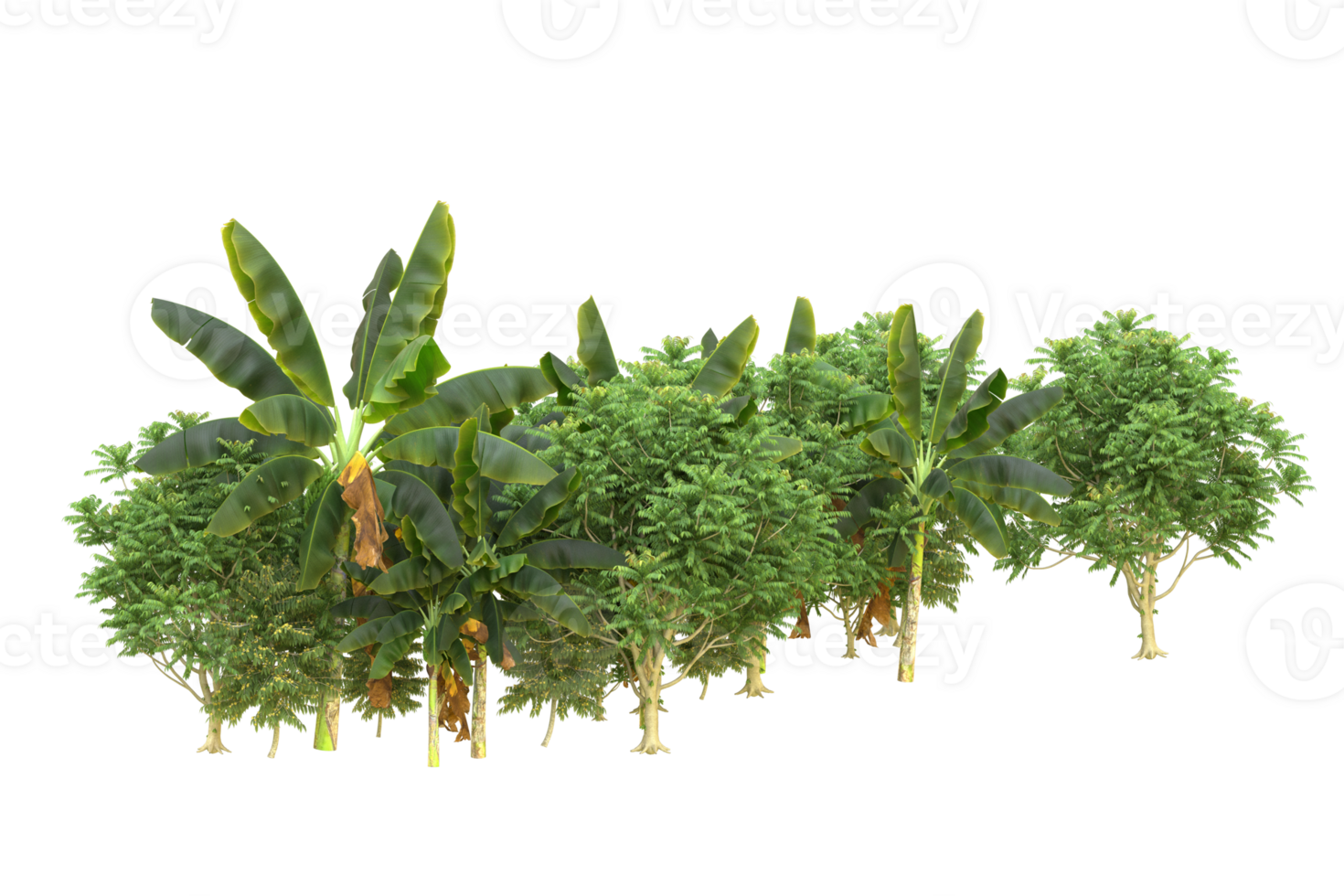 Realistic forest isolated on transparent background. 3d rendering - illustration png
