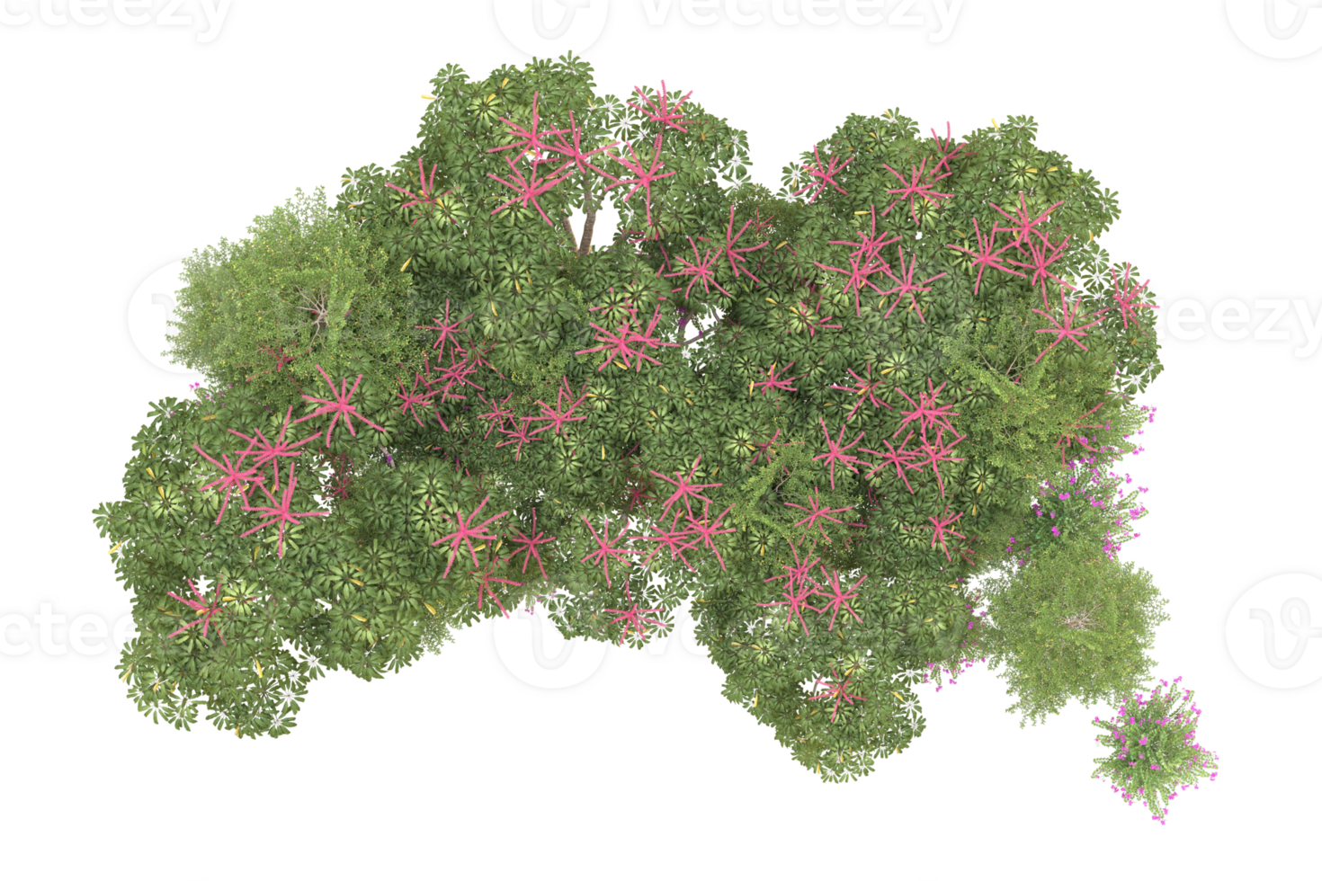 Realistic forest isolated on transparent background. 3d rendering - illustration png