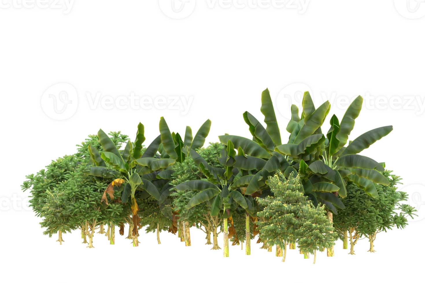 Realistic forest isolated on transparent background. 3d rendering - illustration png