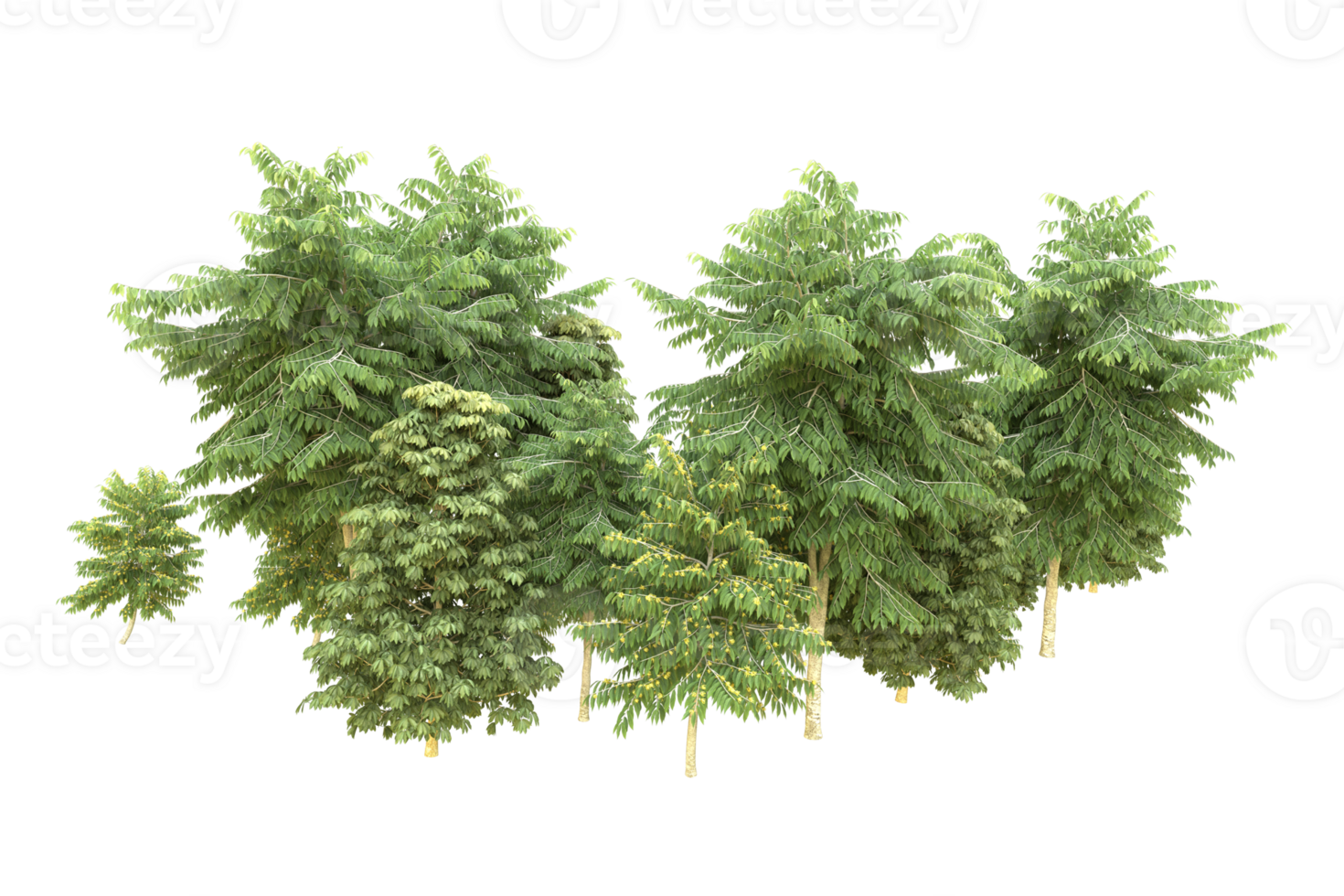Realistic forest isolated on transparent background. 3d rendering - illustration png