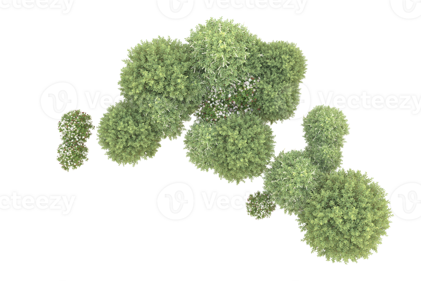 Realistic forest isolated on transparent background. 3d rendering - illustration png