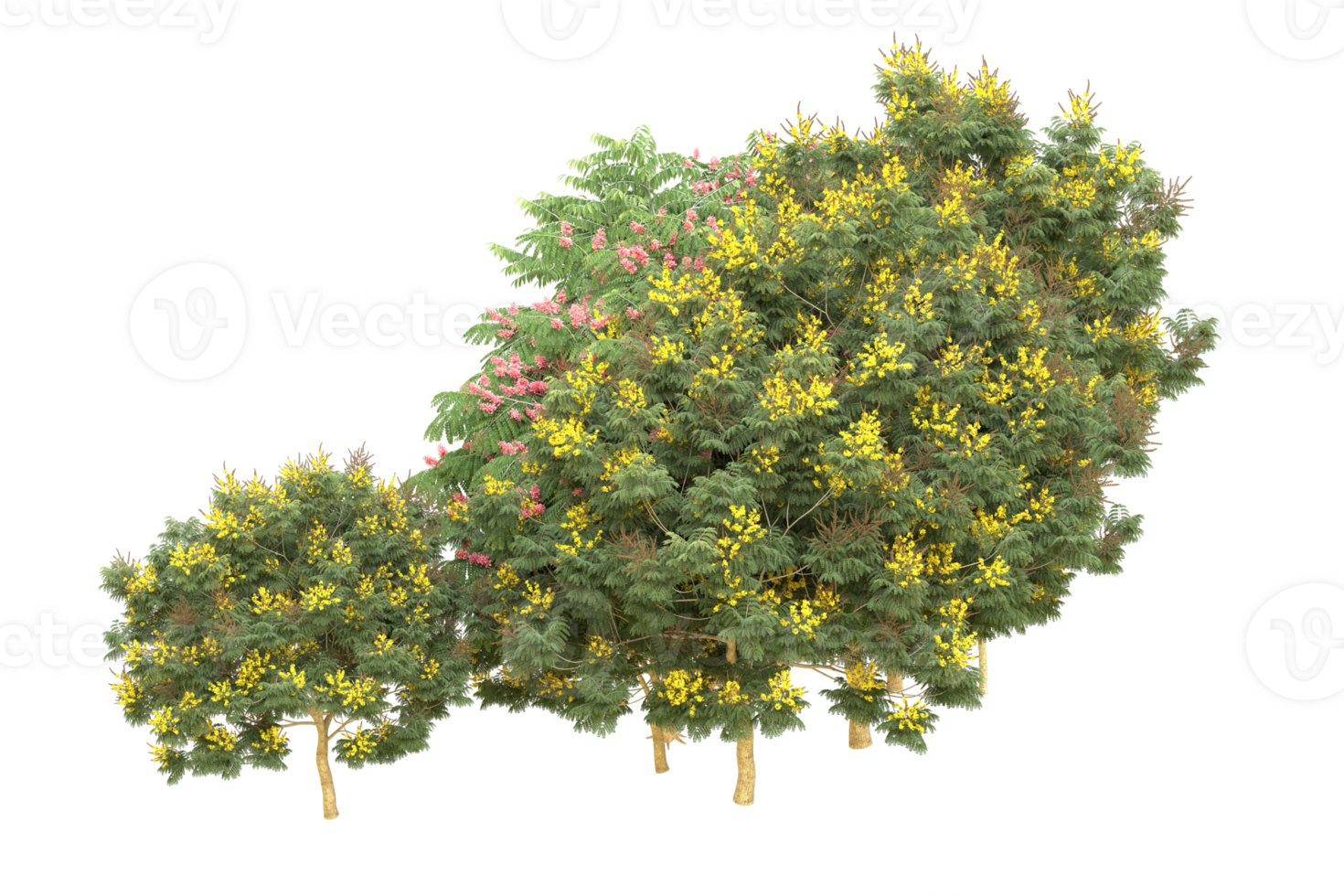 Realistic forest isolated on transparent background. 3d rendering - illustration png