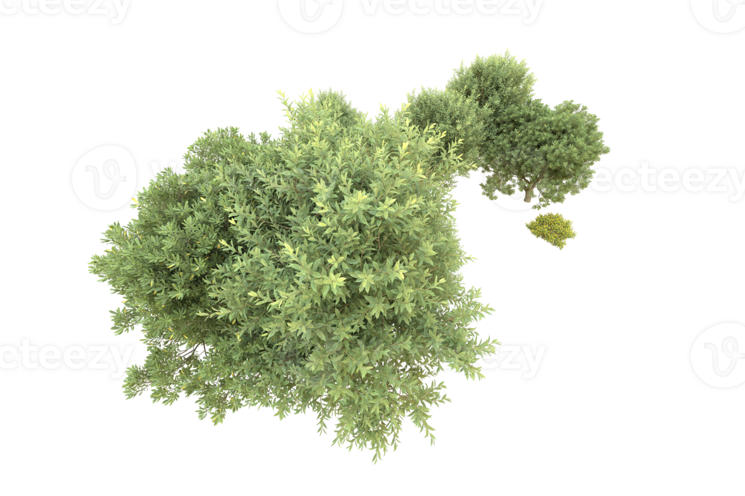 Realistic forest isolated on transparent background. 3d rendering - illustration png