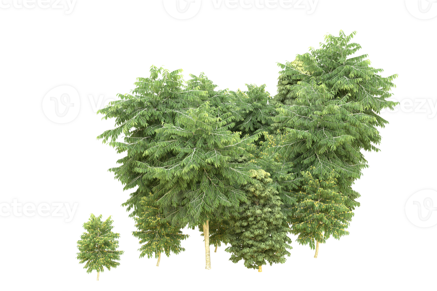 Realistic forest isolated on transparent background. 3d rendering - illustration png