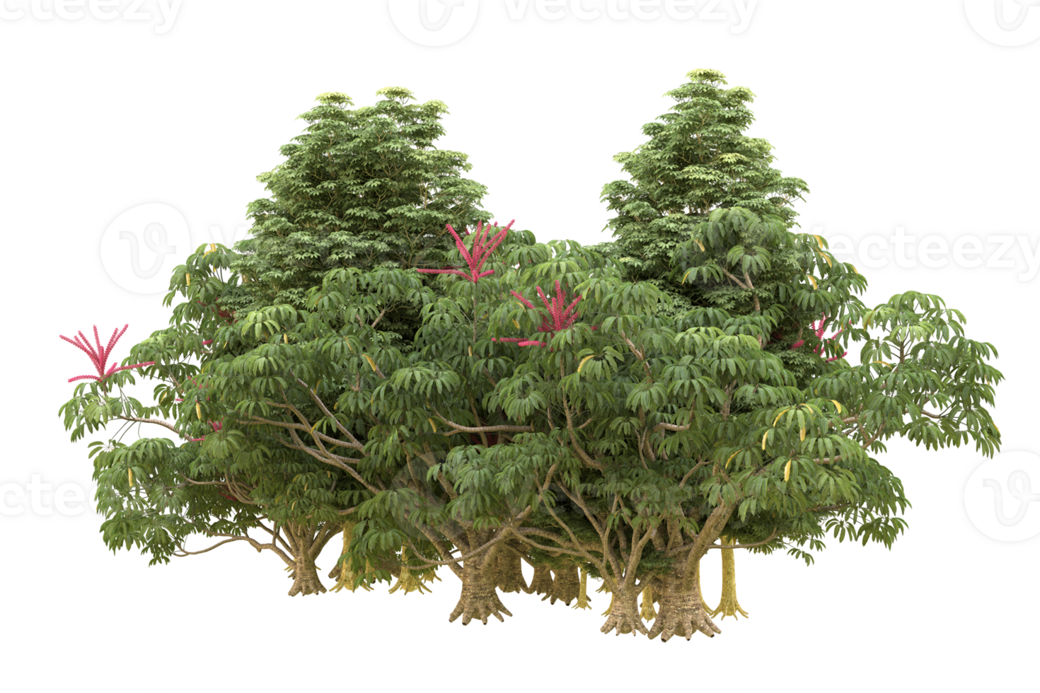 Realistic forest isolated on transparent background. 3d rendering - illustration png