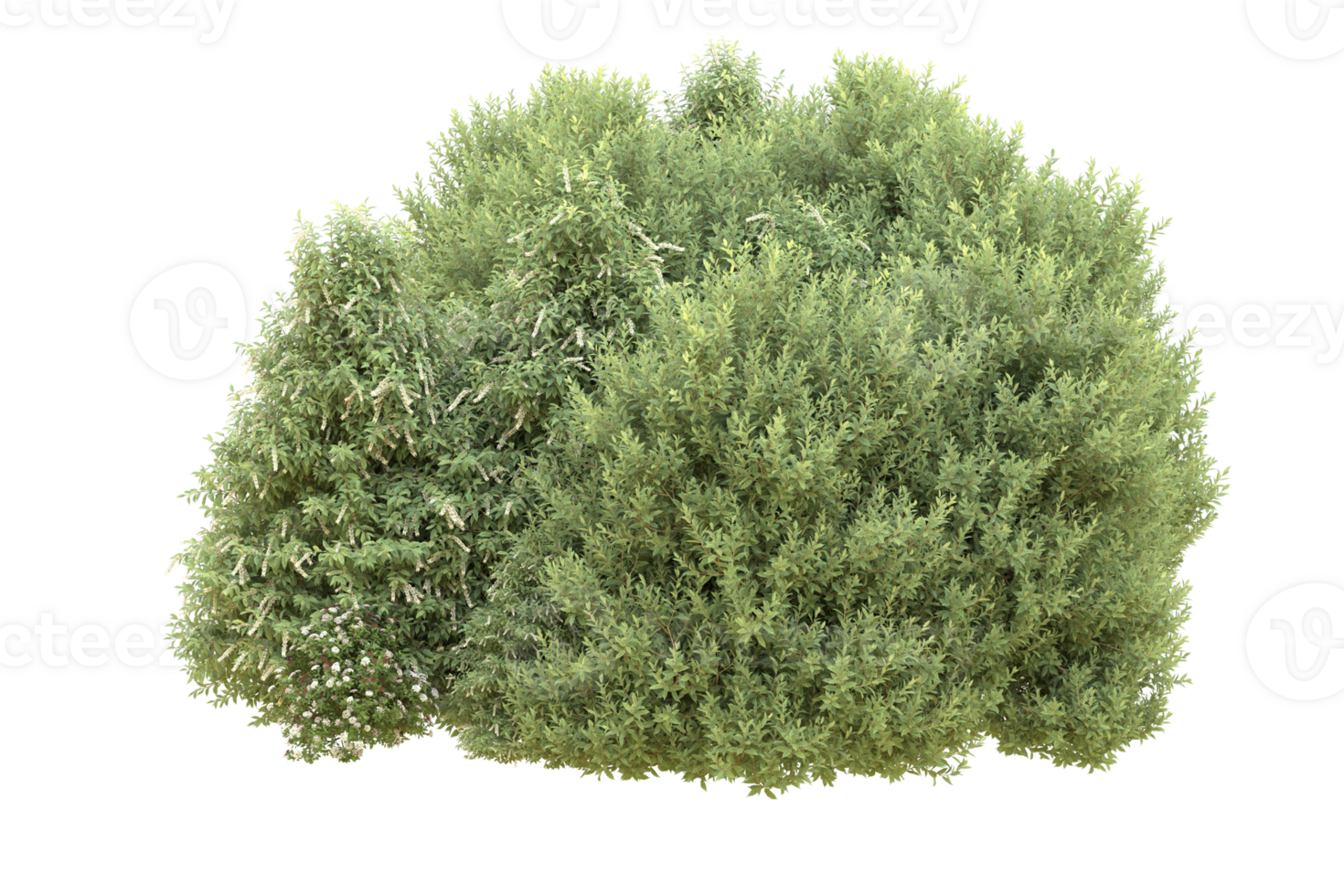 Realistic forest isolated on transparent background. 3d rendering - illustration png