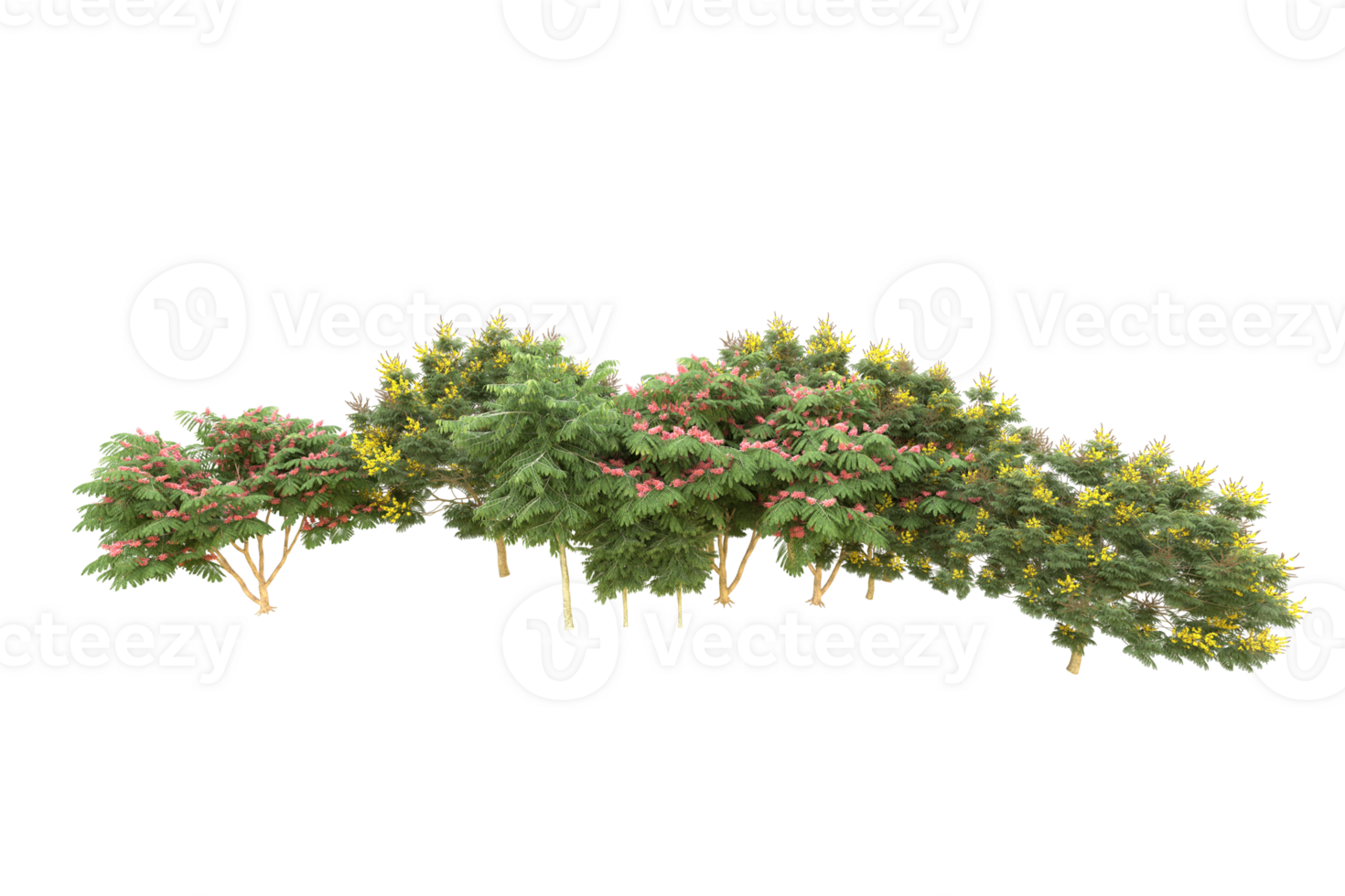 Realistic forest isolated on transparent background. 3d rendering - illustration png