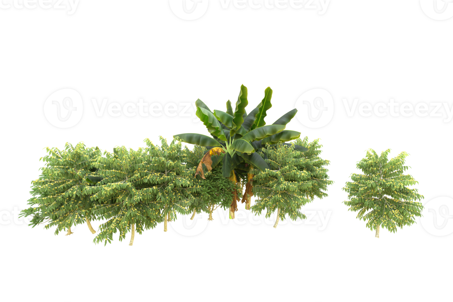 Realistic forest isolated on transparent background. 3d rendering - illustration png
