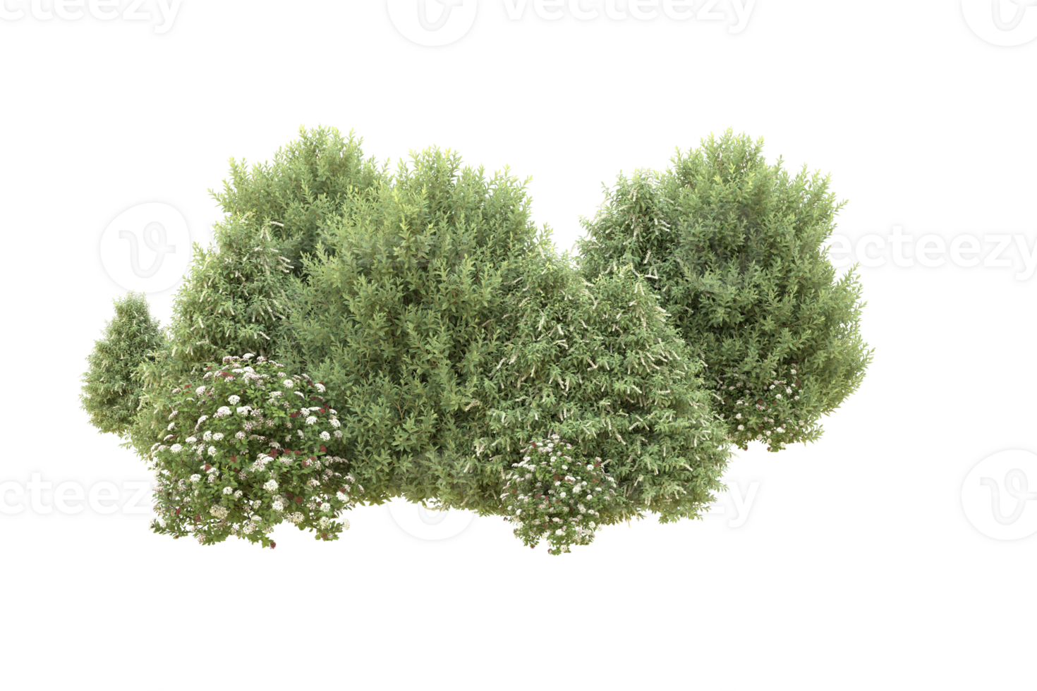 Realistic forest isolated on transparent background. 3d rendering - illustration png