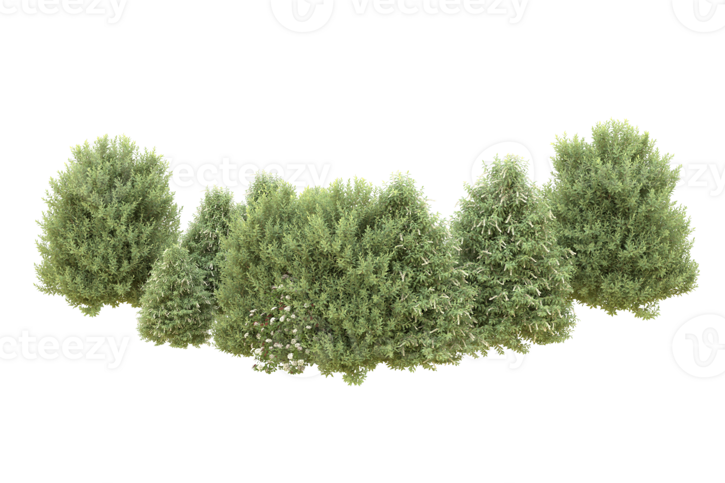Realistic forest isolated on transparent background. 3d rendering - illustration png