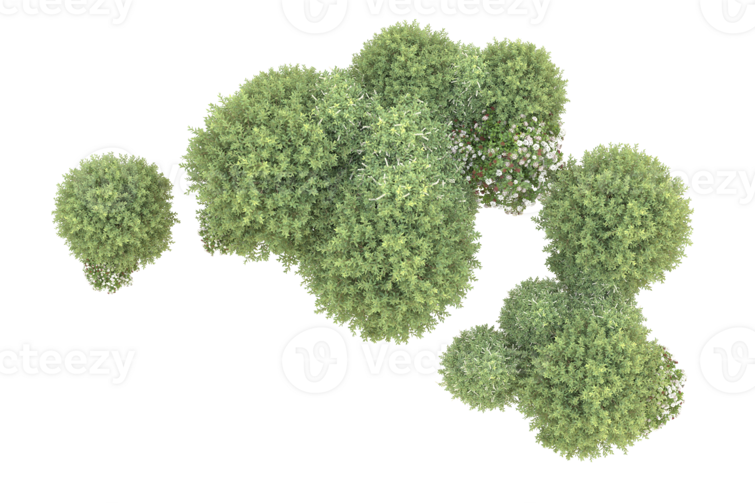 Realistic forest isolated on transparent background. 3d rendering - illustration png