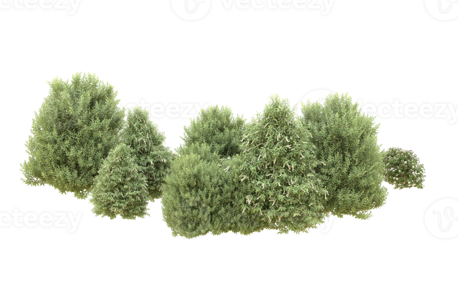 Realistic forest isolated on transparent background. 3d rendering - illustration png